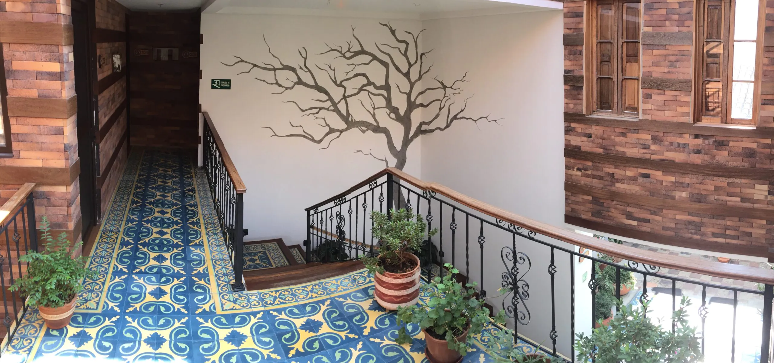 jN4Balcony wall tree